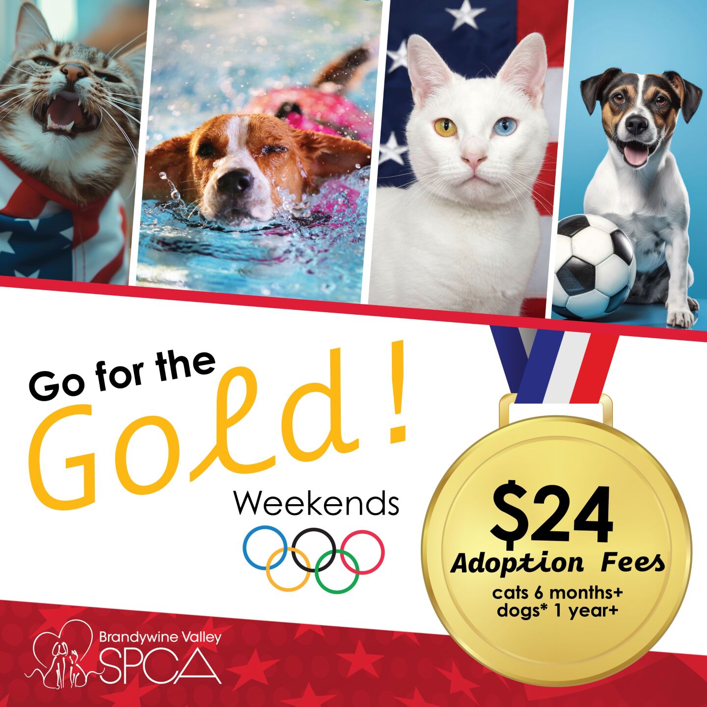 BVSPCA